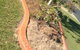G-Dogs Garden Edging - thumb 2