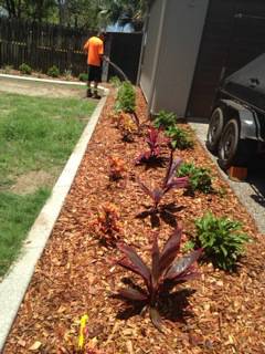G-Dogs Garden Edging - Lawyer Find 5