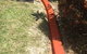 G-Dogs Garden Edging - thumb 7