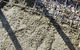 Bishop Boys Concreting - thumb 1