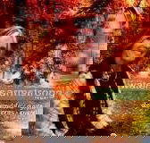 Penny Waters Armstrong Legal - Click Find
