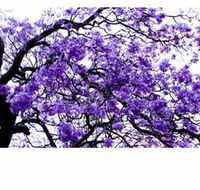 Clarence Valley Legal - Click Find