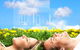 Lake Macquarie Conveyancing - thumb 2