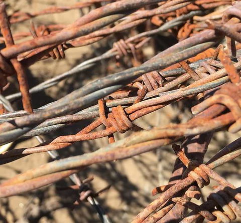 Rockhampton Metal Recyclers - Lavinia 2