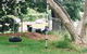 Laura’s Place - thumb 1