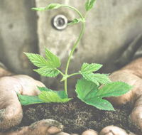 Mackay Baptist Care Counselling Service - Click Find