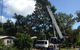 Build Up Crane Hire Pty Ltd - thumb 2