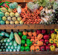 DJs Wholesale Fruit Market  Ezy Peel - Click Find