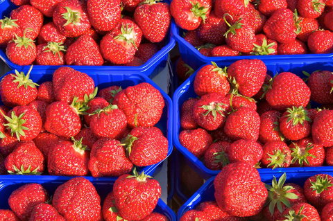 DJ’s Wholesale Fruit Market & Ezy Peel - Bet 4u 3