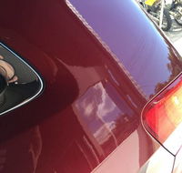 Coffs Dent Magic - Lavinia