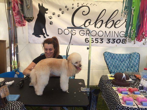 Cobbers Dog Grooming Salon - DBD 1