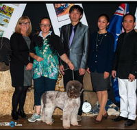 The Naked Hound Dog Grooming Salon - DBD
