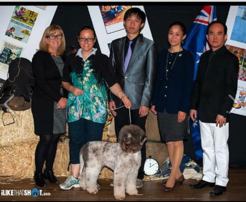 The Naked Hound Dog Grooming Salon - DBD 0