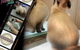 Darwin Pet Spa & Grooming - thumb 0