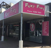 Foxy Furs Pet Grooming - Bet 4u