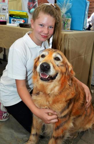 Dog Cat Clipping Grooming Noosaville QLD Click Find