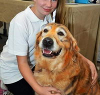 Eumundi Pet Grooming - Click Find