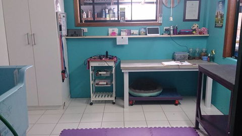Caz’s Pet Indulgence - Lawyer Find 2