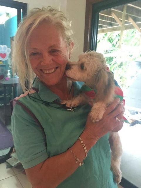 Caz’s Pet Indulgence - Lawyer Find 3