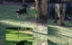Bees Creek Boarding Kennels - thumb 4