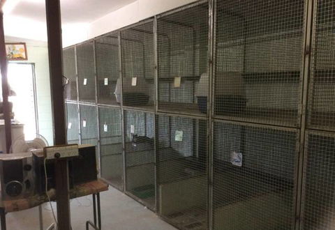 Alton Downs Boarding Kennels & Cattery - Bridge Guide 3