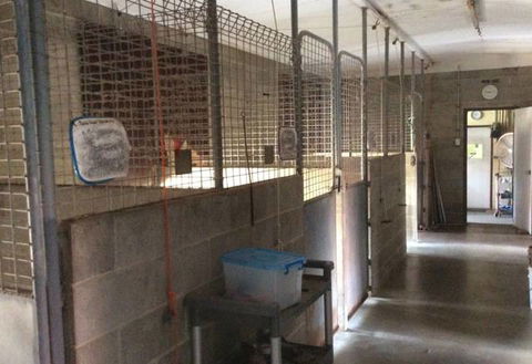 Alton Downs Boarding Kennels & Cattery - Bridge Guide 4