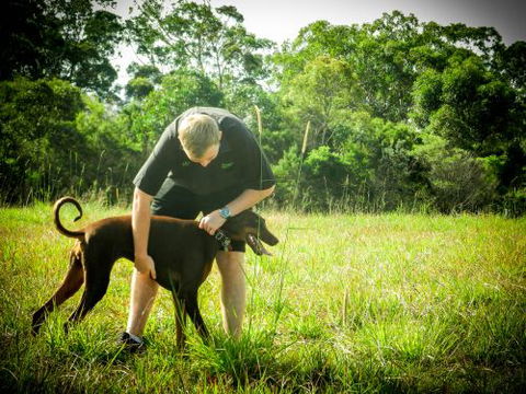 Purrfect Pet Care Sunshine Coast - Lawyer Find 1