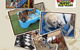 Good! Golly K9 Academy - thumb 0