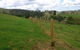 Sweet’s Rural Fencing & Machinery - thumb 0