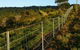 Sweet’s Rural Fencing & Machinery - thumb 4