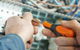 SEP Electrical Pty Ltd - thumb 3