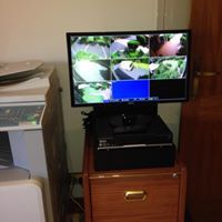 Wilkinson Electrical Services - Lavinia 2