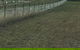 Biffins Rural Contracting - thumb 1