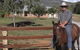 Biffins Rural Contracting - thumb 3