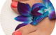 Aaqua Marine Day Spa - thumb 2