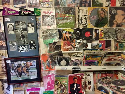 Terrace Collectables - DBD 2