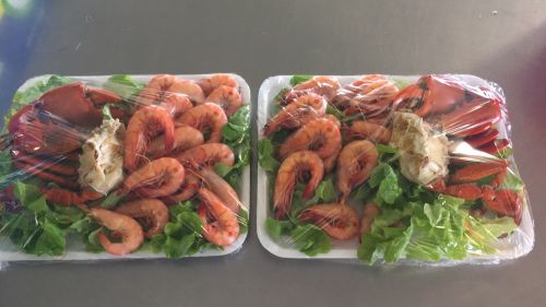 Seafood Wholesaler Co Op Cardwell QLD Bet 4u