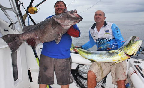 Gold Coast Fishing Tackle - Click Find 2