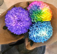 Flower Hunt - Bet 4u