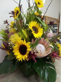 Salamander Village Florist