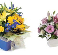 Palmwoods Florist  Gifts - Click Find