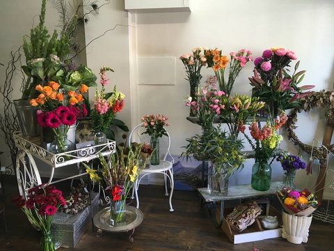 Flowerista - Bet 4u 3