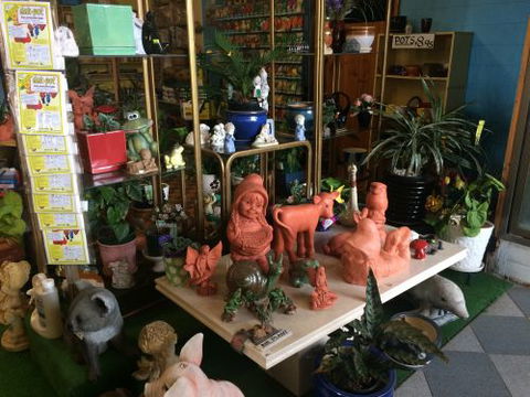 Drive Thru Or Park Unanderra Nursery - Bet 4u 1