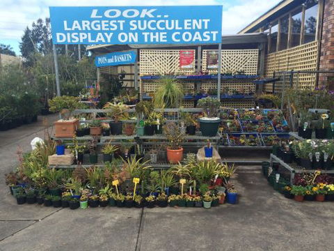 Drive Thru Or Park Unanderra Nursery - Bet 4u 4