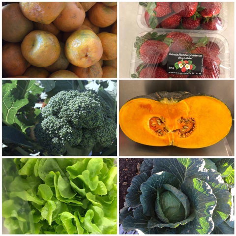 Camilleri’s Farm Market - Clickz 1