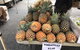 Camilleri’s Farm Market - thumb 2
