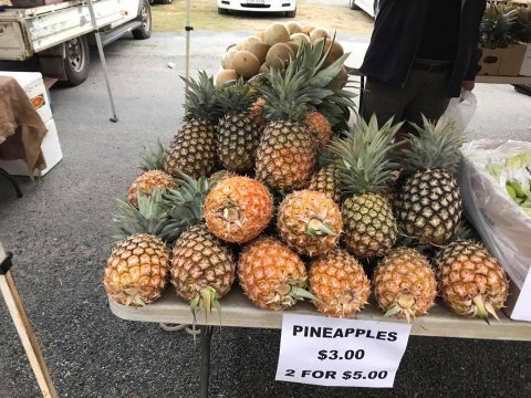Camilleri’s Farm Market - Clickz 2