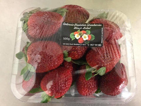 Camilleri’s Farm Market - Clickz 3
