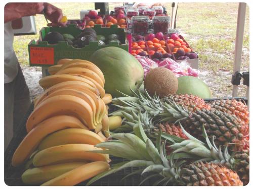 Fruit Vegetable Growers Packers Noosaville QLD Click Find