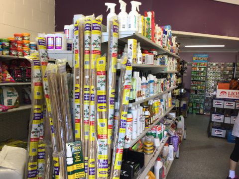 The Green Shed - Click Find 4